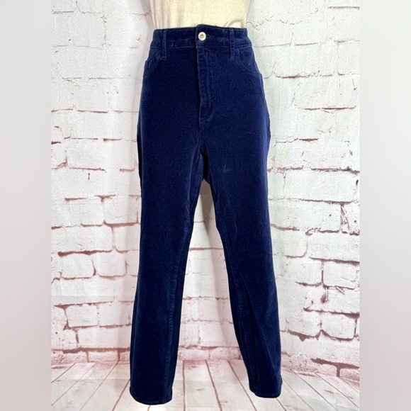 PILCRO AND THE LETTERPRESS by ANTHROPOLOGIE Pants - ANTHROPOLOGIE PILCRO Plus Size 32 High Rise Skinny Navy Corduroy 35” Waist Jeans